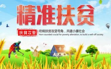 扶贫驻村个人工作总结6篇