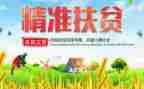扶贫驻村个人工作总结6篇