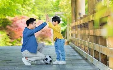 父与子读书心得体会通用6篇