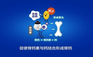 钙的调查报告模板7篇