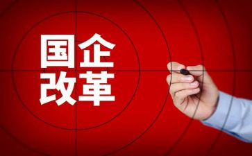 改革心得体会8篇