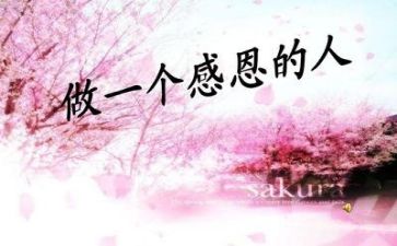 感恩教师的心得体会500优质5篇