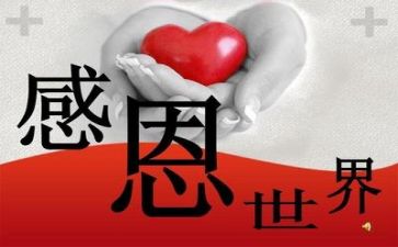 关感恩的演讲稿最新8篇