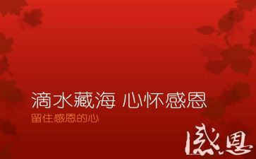 感恩心得体会范文5篇