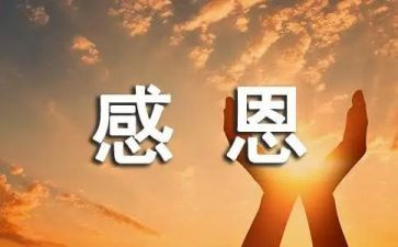 感恩800字演讲稿推荐6篇