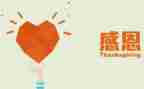 感恩教师的心得体会500参考7篇