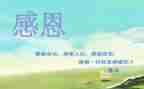 感恩教师的心得体会500推荐8篇
