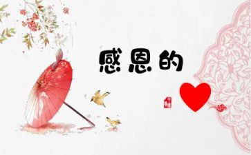 感激优秀作文精选5篇