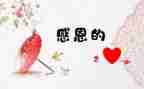 感激优秀作文精选5篇