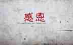 作文感谢那个为我提灯的人600字7篇