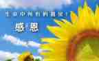 感谢领导的演讲稿5篇