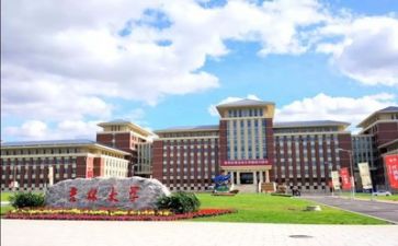 2023高校教师心得体会5篇