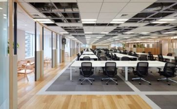 新公司成立后工作计划8篇