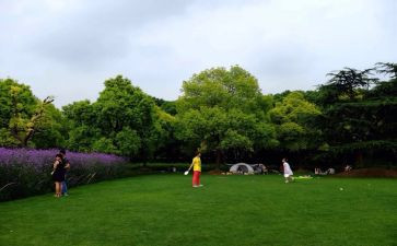 公园集锦作文模板6篇