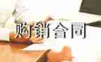 鞋购销合同最新6篇