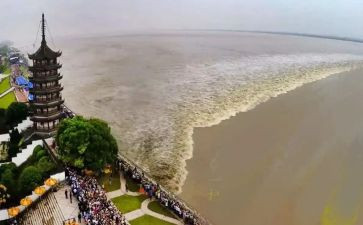 观潮的读后感26字8篇