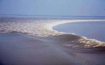 观潮的读后感26字优秀7篇