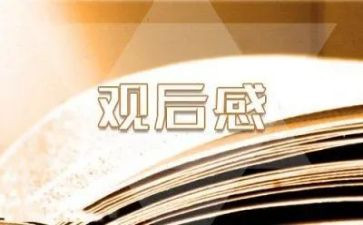 2024年红色教育观后感8篇