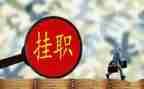 公司挂职锻炼工作总结5篇