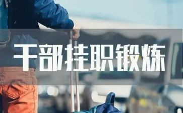 挂职点工作总结6篇