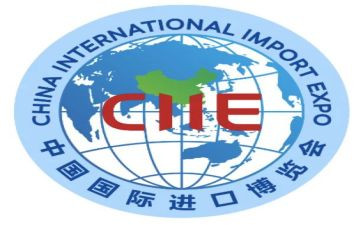 国际贸易的心得体会模板8篇