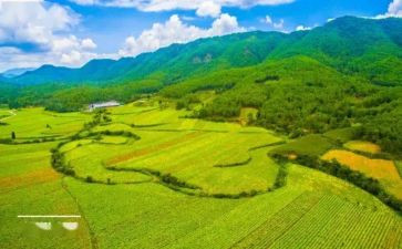 2023国土所工作总结5篇