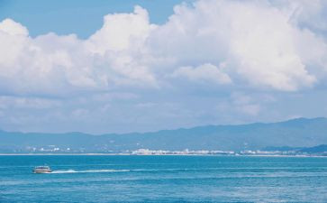 海帝读后感300字8篇