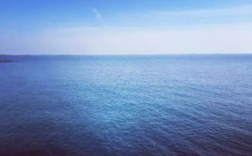 海蝶调查报告模板8篇