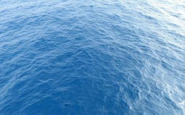 海蒂读后感500字8篇