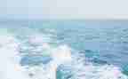 海帝读后感400字作文最新6篇