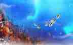 写海洋的作文300字7篇
