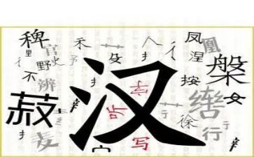 汉字王的教案7篇