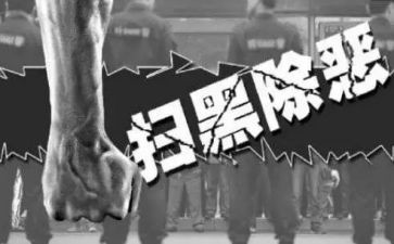 黑恶心得体会5篇