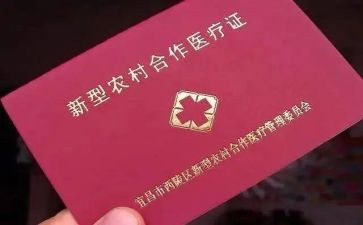 乡村合疗工作总结优秀6篇