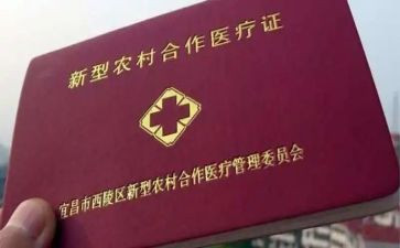 2024年合疗个人总结报告优质8篇
