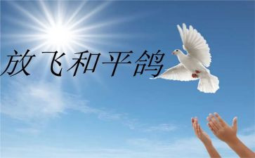 战争和和平读后感7篇