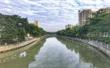 河涌治理工作报告8篇