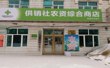 村合作社述职报告5篇