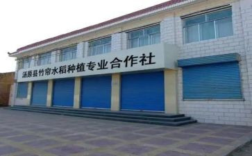 合作社工作总结6篇