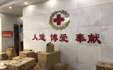 红十字会工作总结2022精选6篇