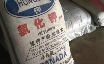 化肥工作总结5篇