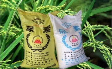 化肥销售工作总结6篇