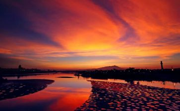 我怀念……作文模板6篇