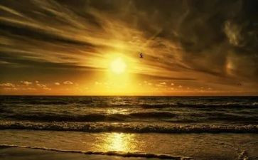 我怀念……作文5篇