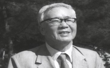 华罗庚的信读后感6篇