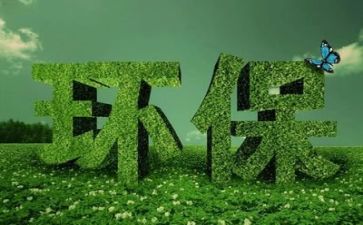 环保调查报告字6篇