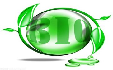 环保类的调查报告6篇