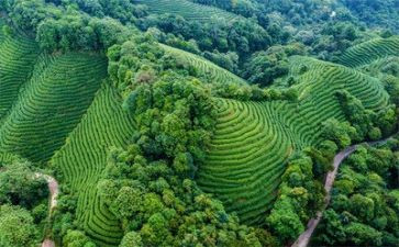 环境保护心得体会范文6篇
