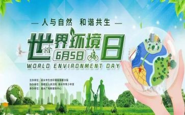 世界环境日宣传活动总结6篇