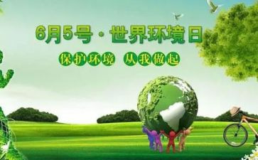 学校环境日活动总结5篇
